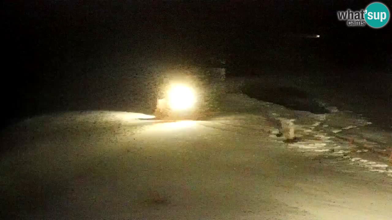 Smučišče Mariborsko Pohorje – spletna kamera Ruška zgoraj