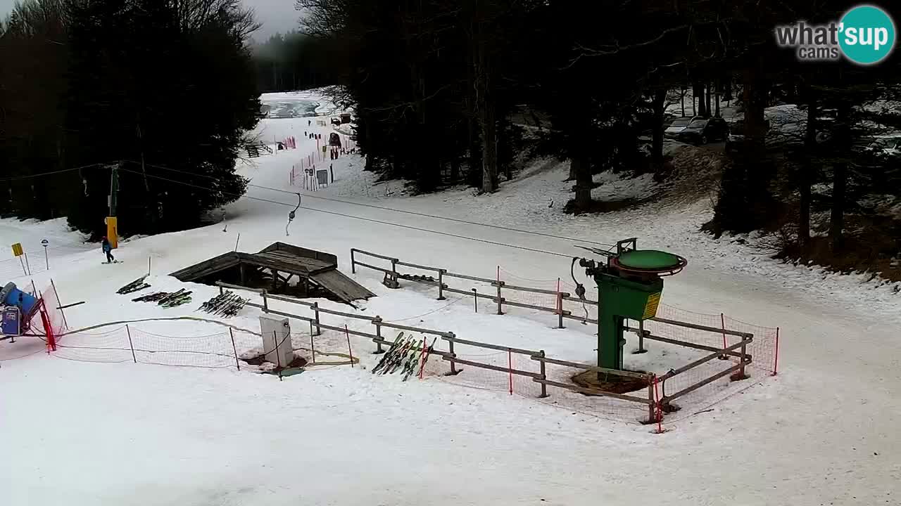 Smučišče Mariborsko Pohorje – spletna kamera Ruška zgoraj