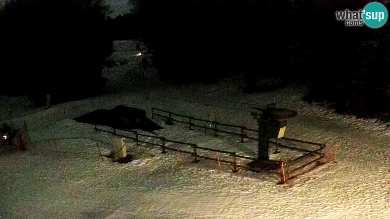 Smučišče Mariborsko Pohorje – spletna kamera Ruška zgoraj