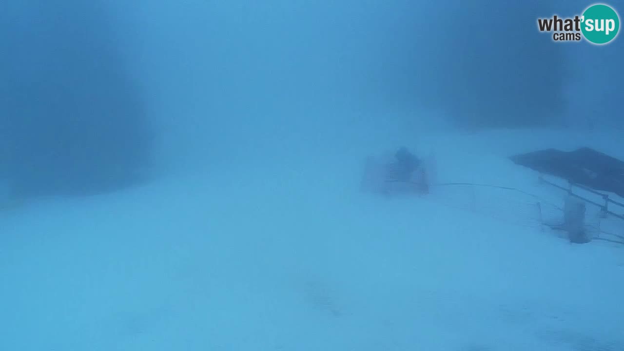 Estaciones de esquí Maribor Pohorje en vivo Ruška