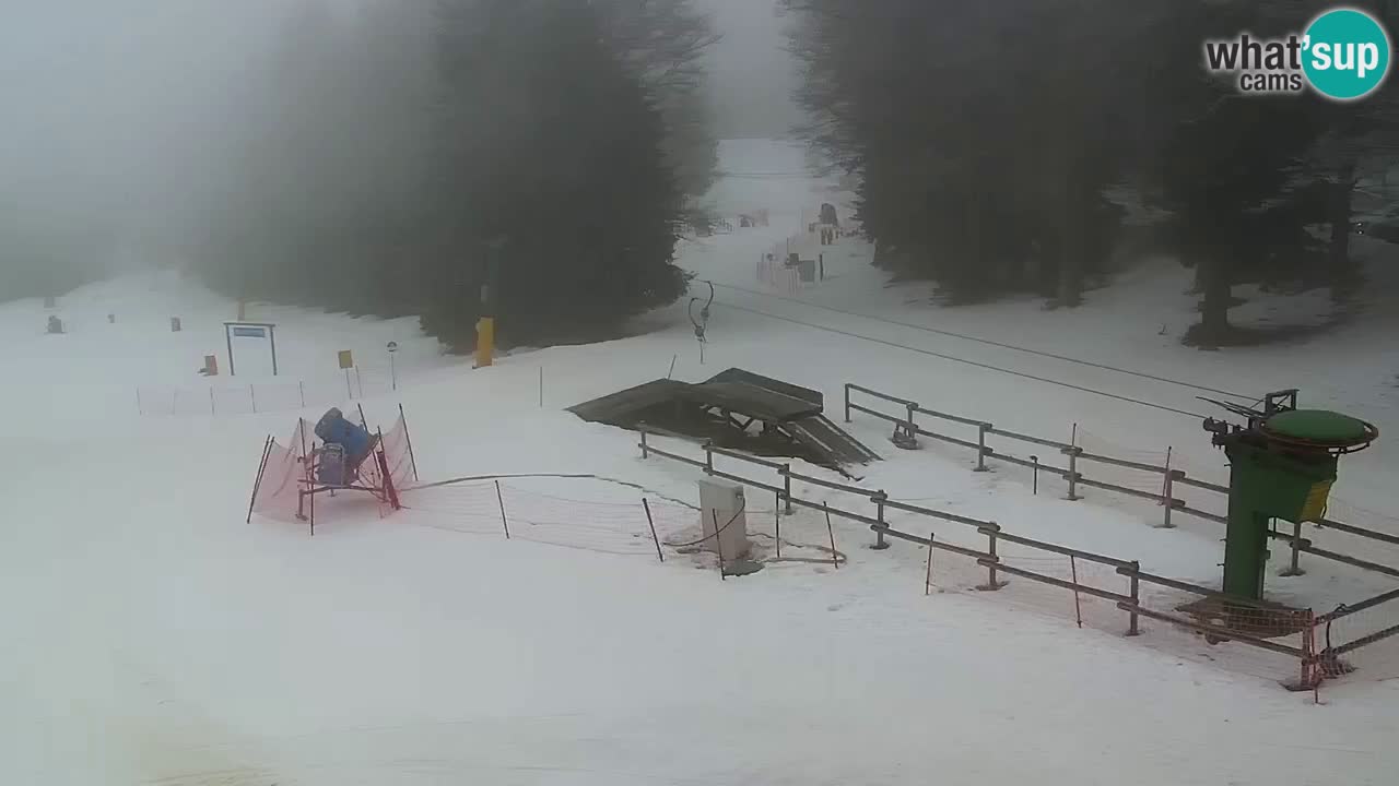 Stations de ski Maribor Pohorje web cam Ruška