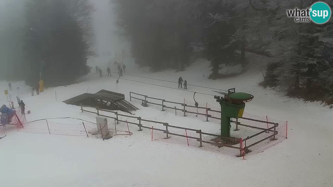 Estaciones de esquí Maribor Pohorje en vivo Ruška