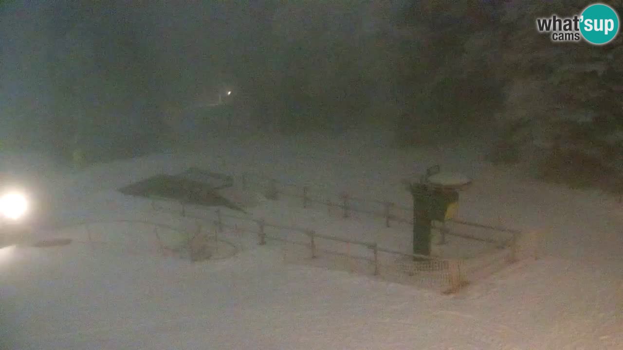 SKI Maribor Pohorje webcam Ruška