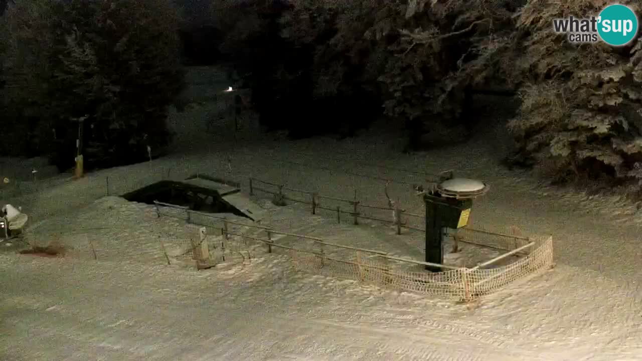 Smučišče Mariborsko Pohorje – spletna kamera Ruška zgoraj