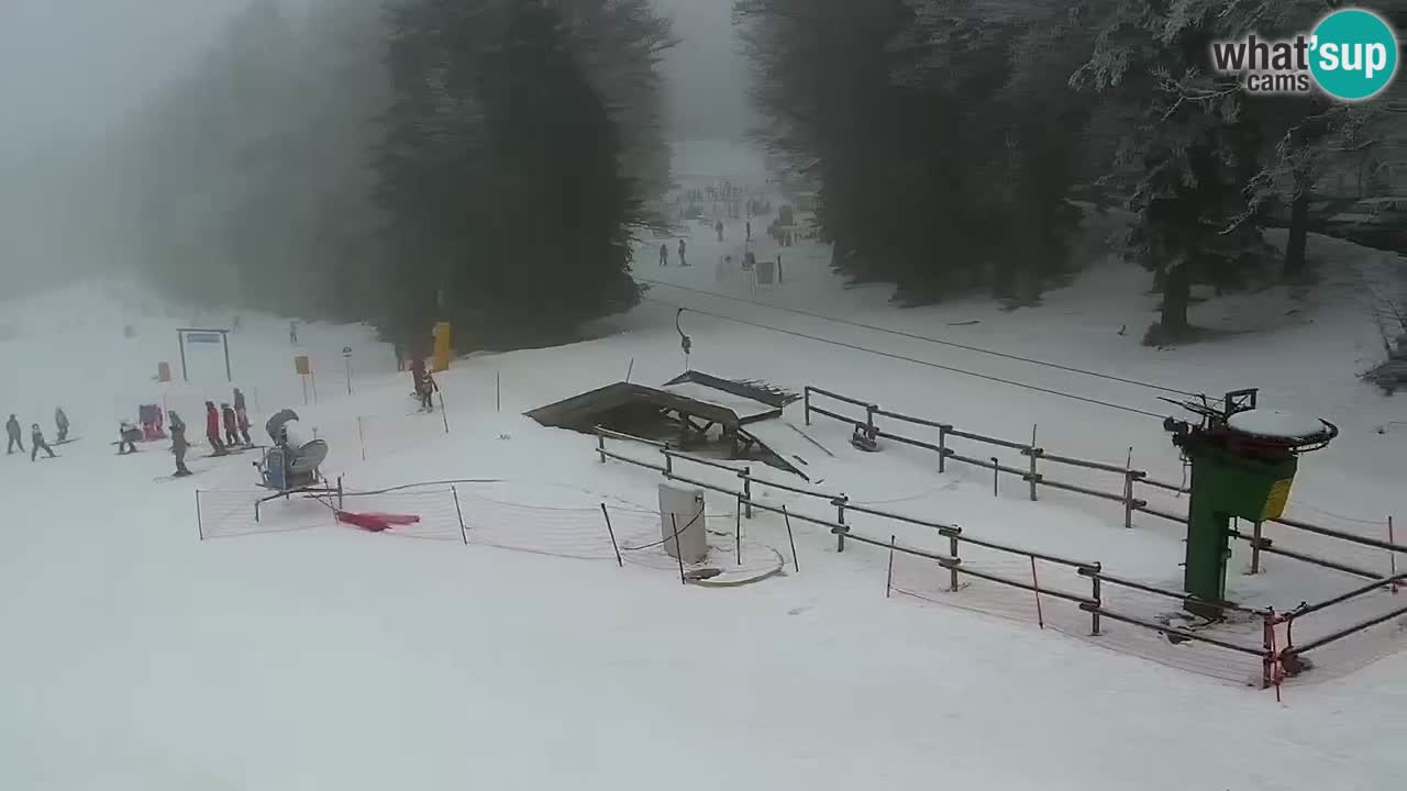 Stations de ski Maribor Pohorje web cam Ruška