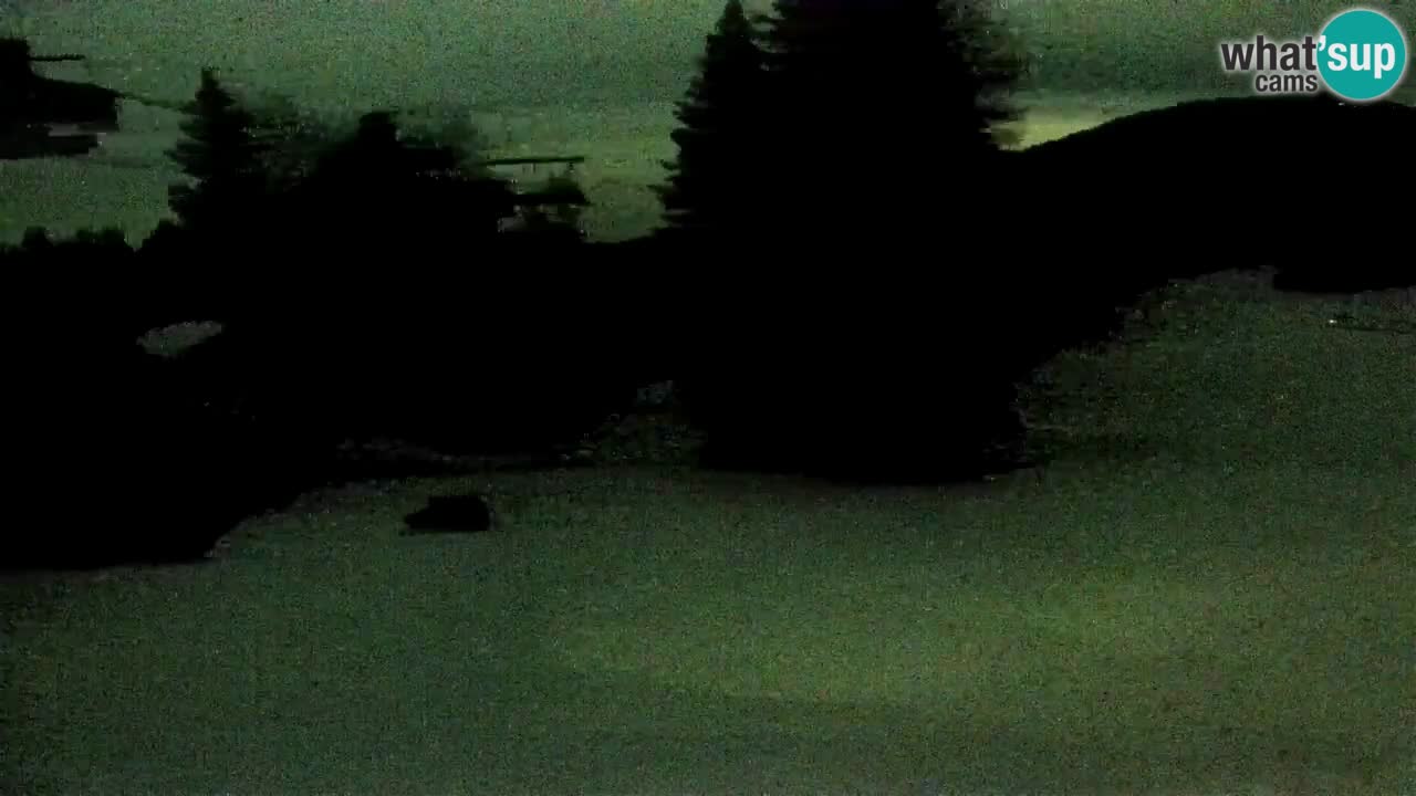 SKI Maribor Pohorje – Ruška webcam