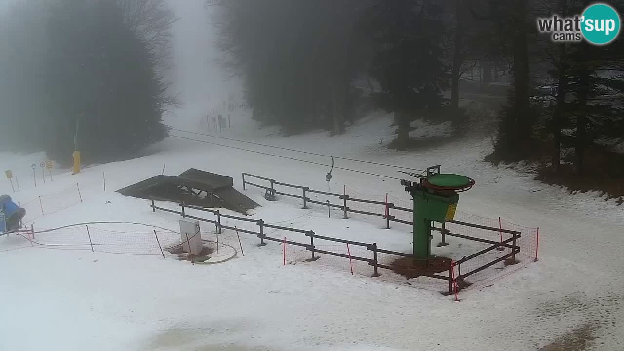 Estaciones de esquí Maribor Pohorje en vivo Ruška