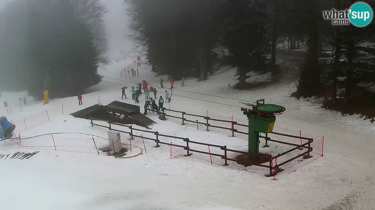 Estaciones de esquí Maribor Pohorje en vivo Ruška