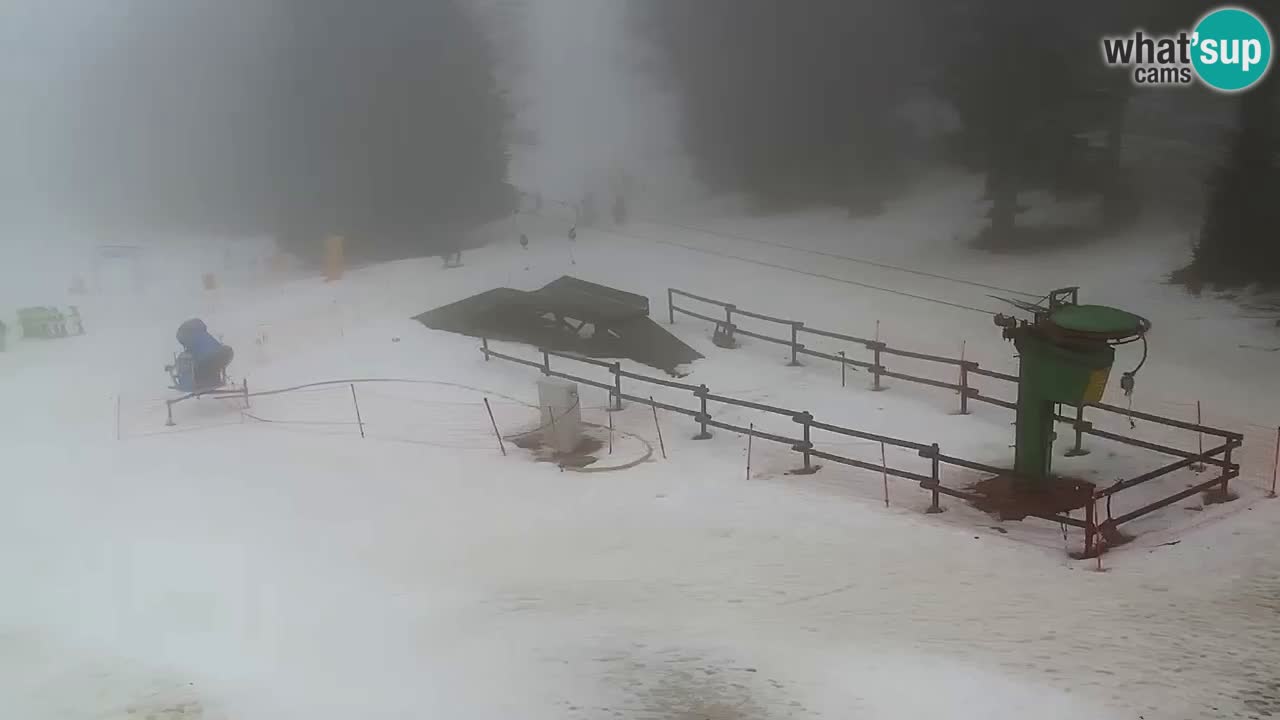 Stazione sciistica Maribor Pohorje – Ruška livecam