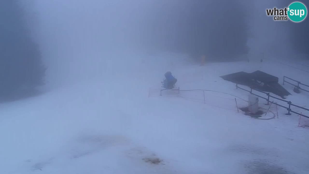 Stazione sciistica Maribor Pohorje – Ruška livecam