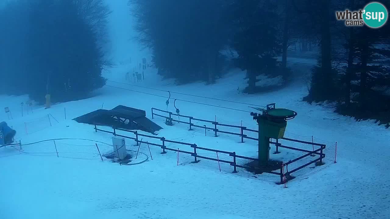 Smučišče Mariborsko Pohorje – spletna kamera Ruška zgoraj