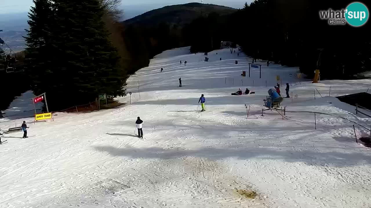 Estaciones de esquí Maribor Pohorje en vivo Ruška