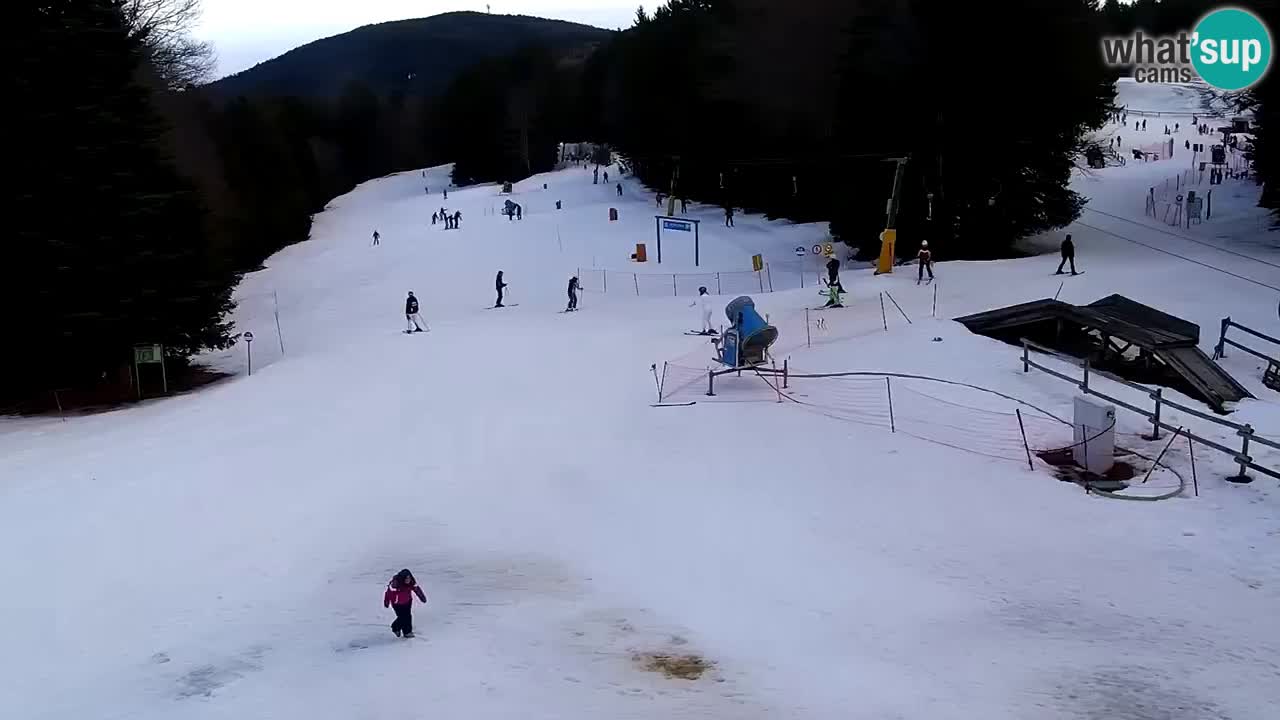 Estaciones de esquí Maribor Pohorje en vivo Ruška