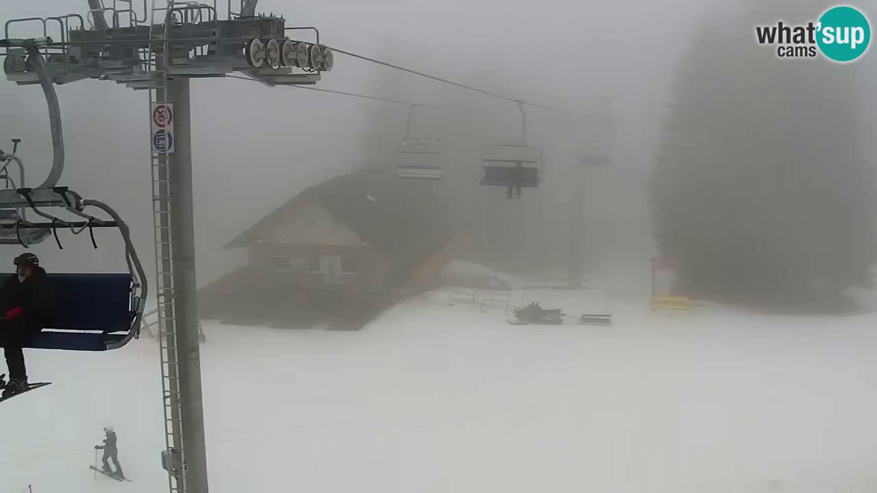 Estaciones de esquí Maribor Pohorje en vivo Ruška