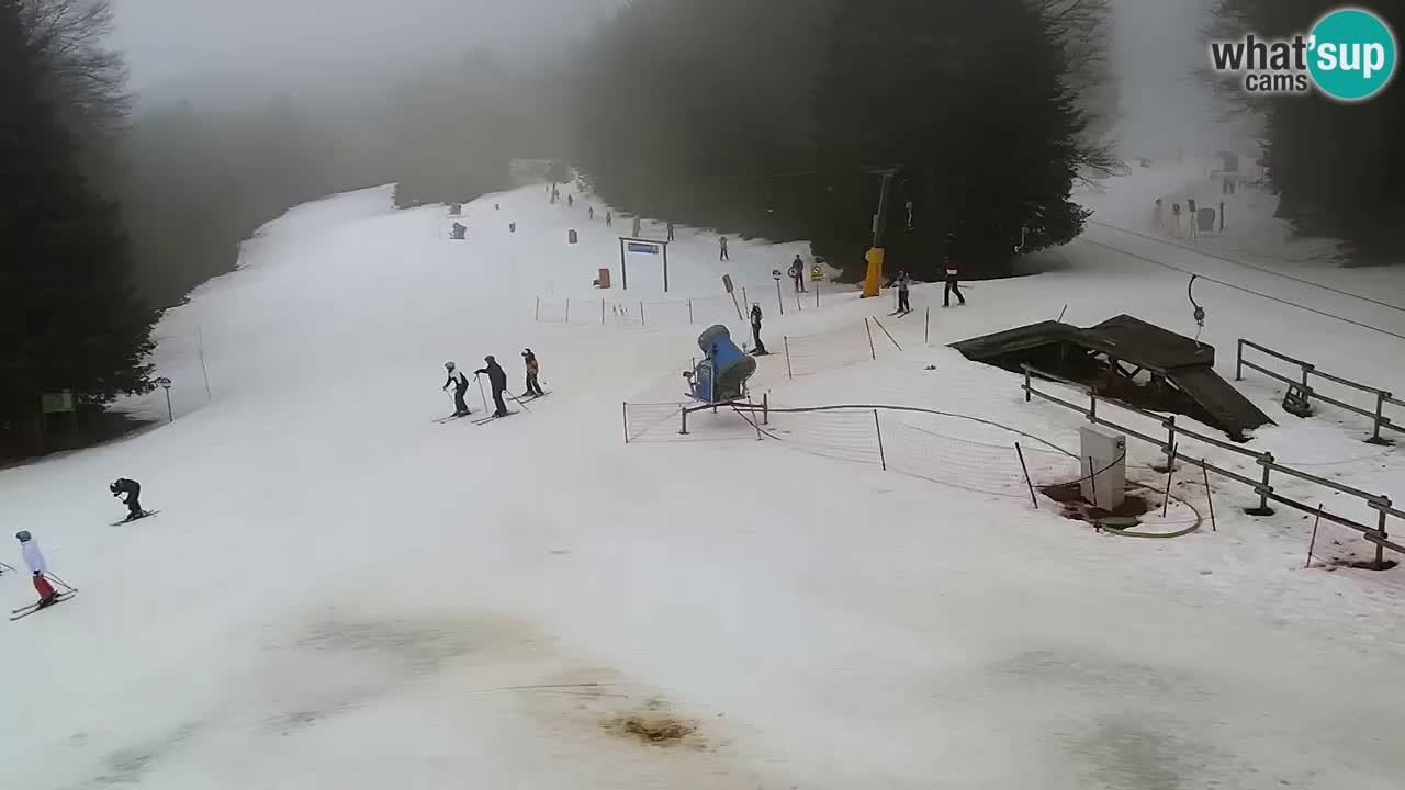 SKI Maribor Pohorje webcam Ruška
