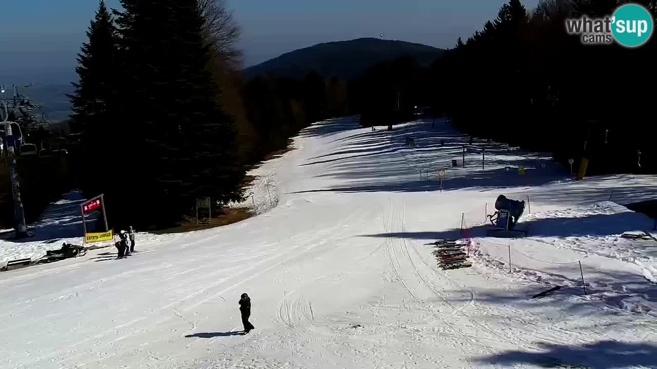 SKI Maribor Pohorje webcam Ruška