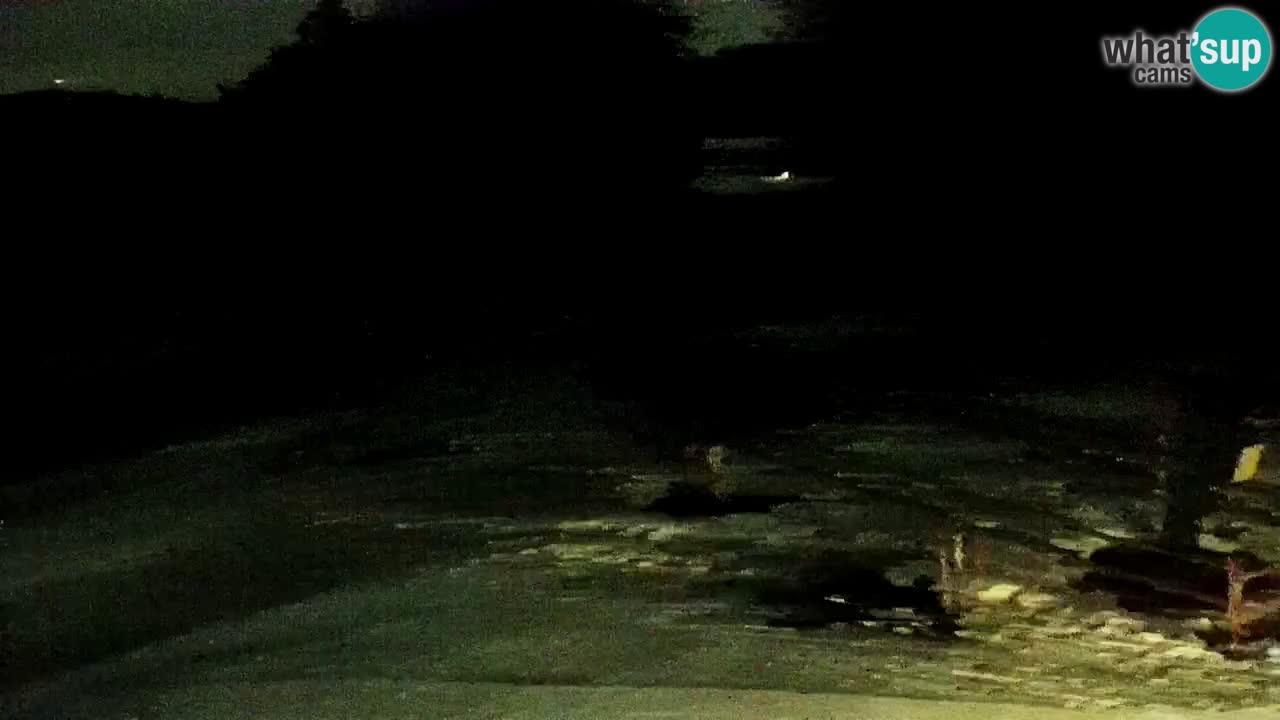 Estaciones de esquí Maribor Pohorje en vivo Ruška