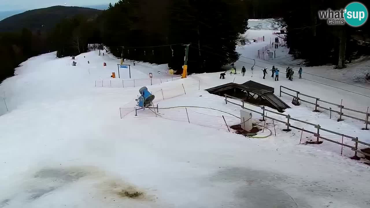 Smučišče Mariborsko Pohorje – spletna kamera Ruška zgoraj