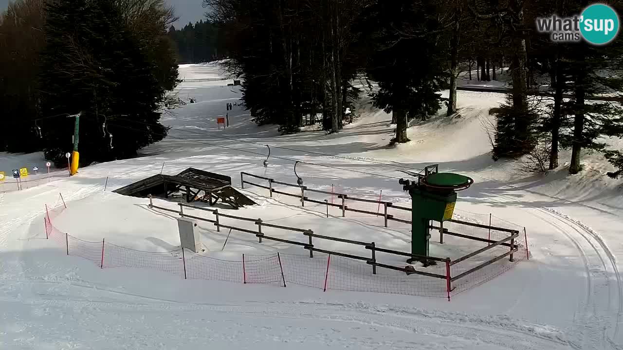 Smučišče Mariborsko Pohorje – spletna kamera Ruška zgoraj