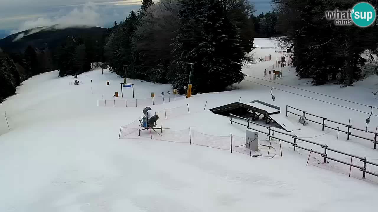 SKI Maribor Pohorje webcam Ruška