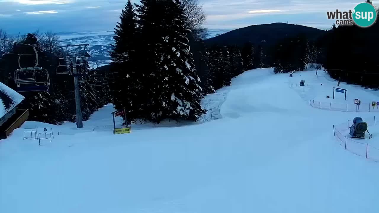 Estaciones de esquí Maribor Pohorje en vivo Ruška