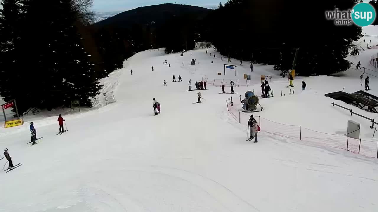 SKI Maribor Pohorje webcam Ruška