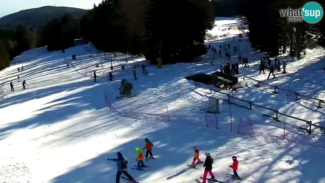 Stations de ski Maribor Pohorje web cam Ruška