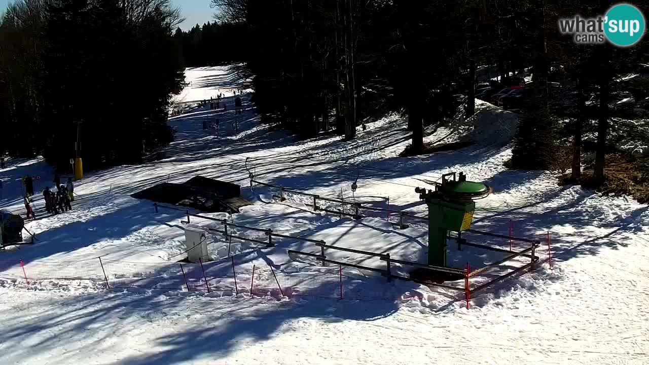 Estaciones de esquí Maribor Pohorje en vivo Ruška