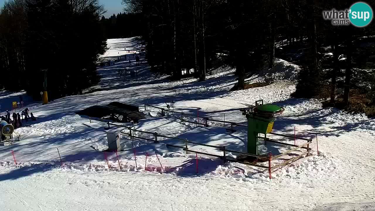 Estaciones de esquí Maribor Pohorje en vivo Ruška