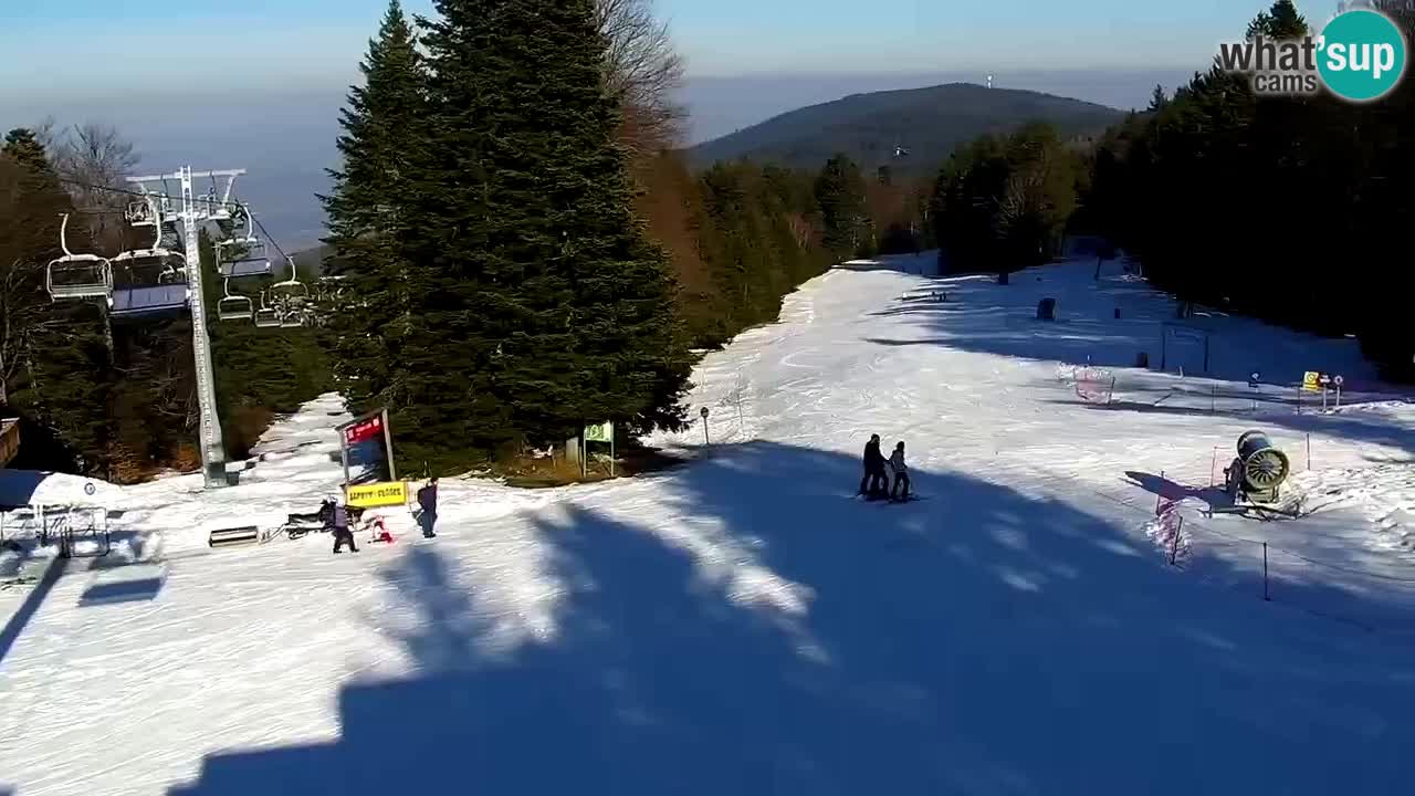 Estaciones de esquí Maribor Pohorje en vivo Ruška