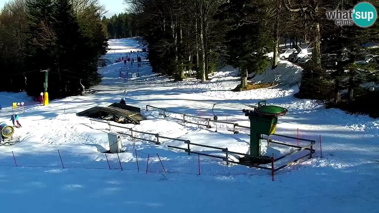 Smučišče Mariborsko Pohorje – spletna kamera Ruška zgoraj