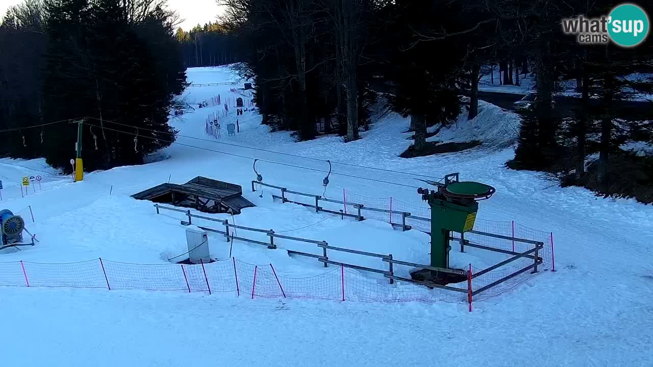 Smučišče Mariborsko Pohorje – spletna kamera Ruška zgoraj