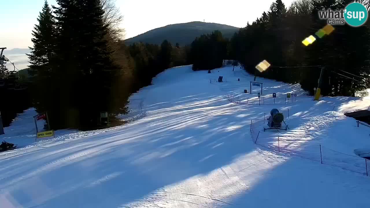 Estaciones de esquí Maribor Pohorje en vivo Ruška