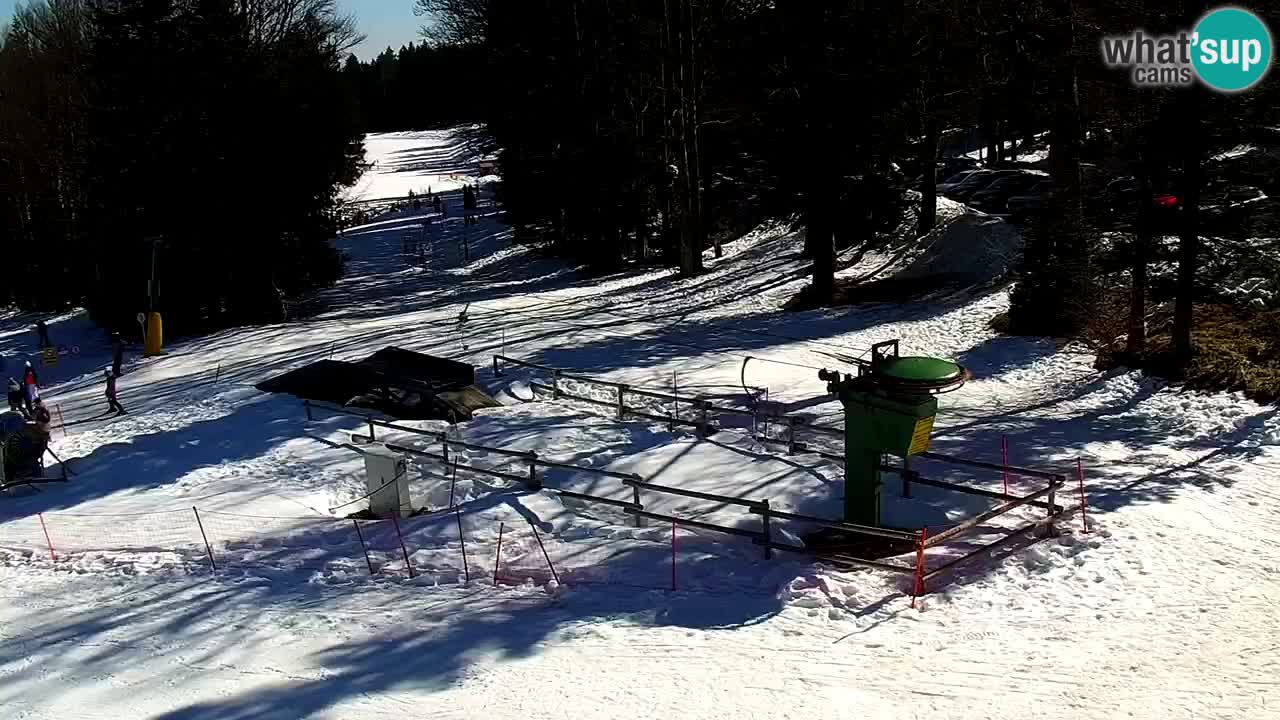 Smučišče Mariborsko Pohorje – spletna kamera Ruška zgoraj