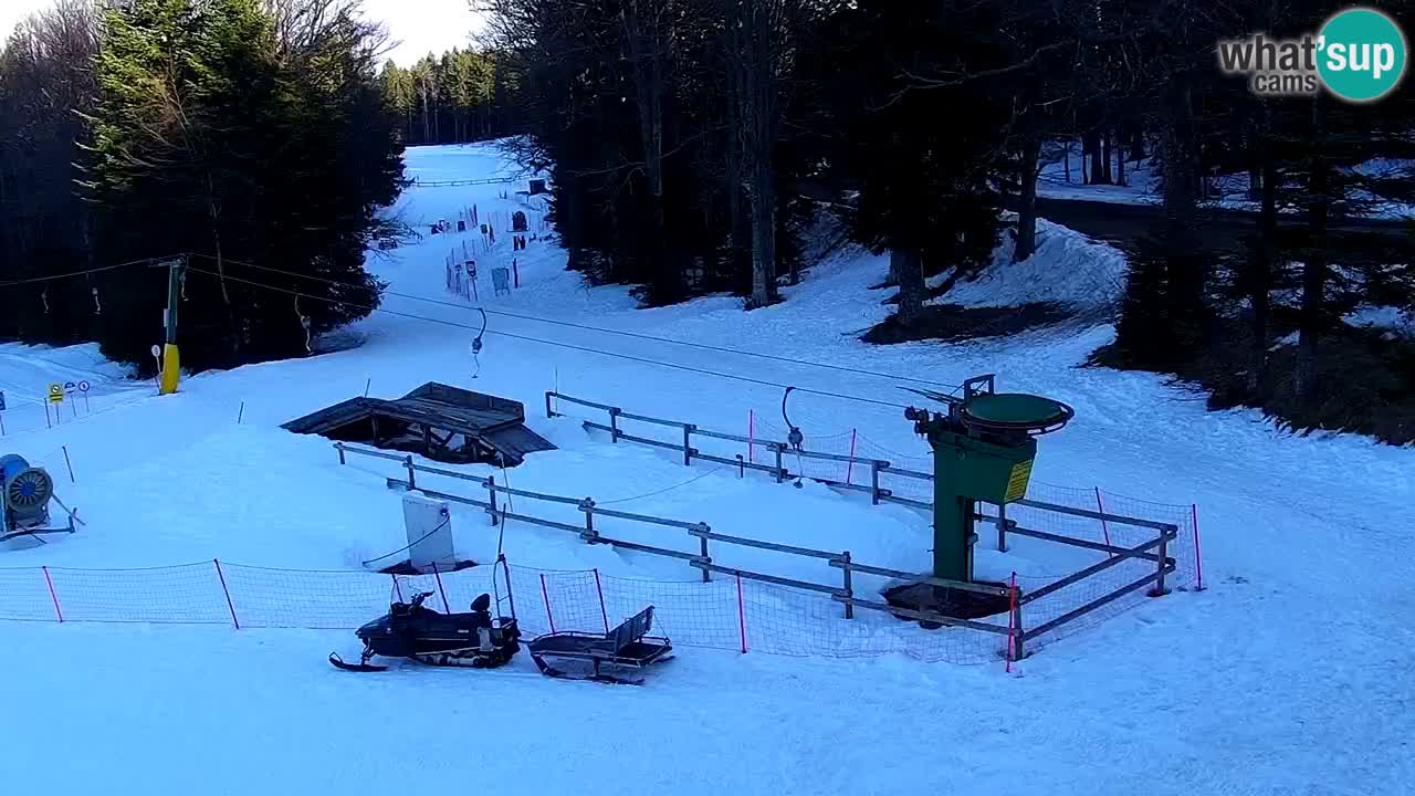 Smučišče Mariborsko Pohorje – spletna kamera Ruška zgoraj