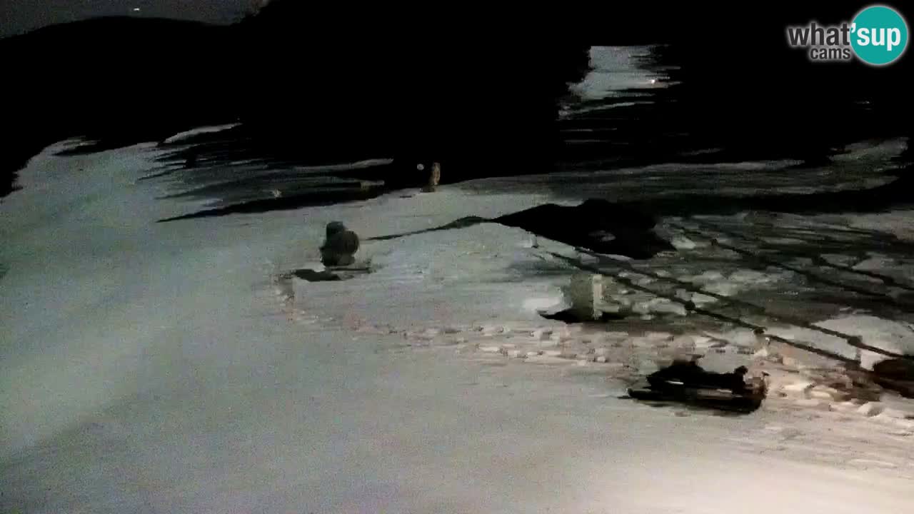 Smučišče Mariborsko Pohorje – spletna kamera Ruška zgoraj