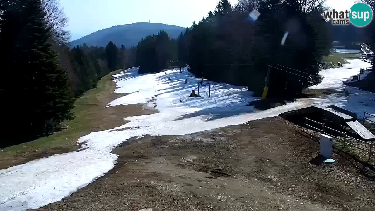SKI Maribor Pohorje webcam Ruška