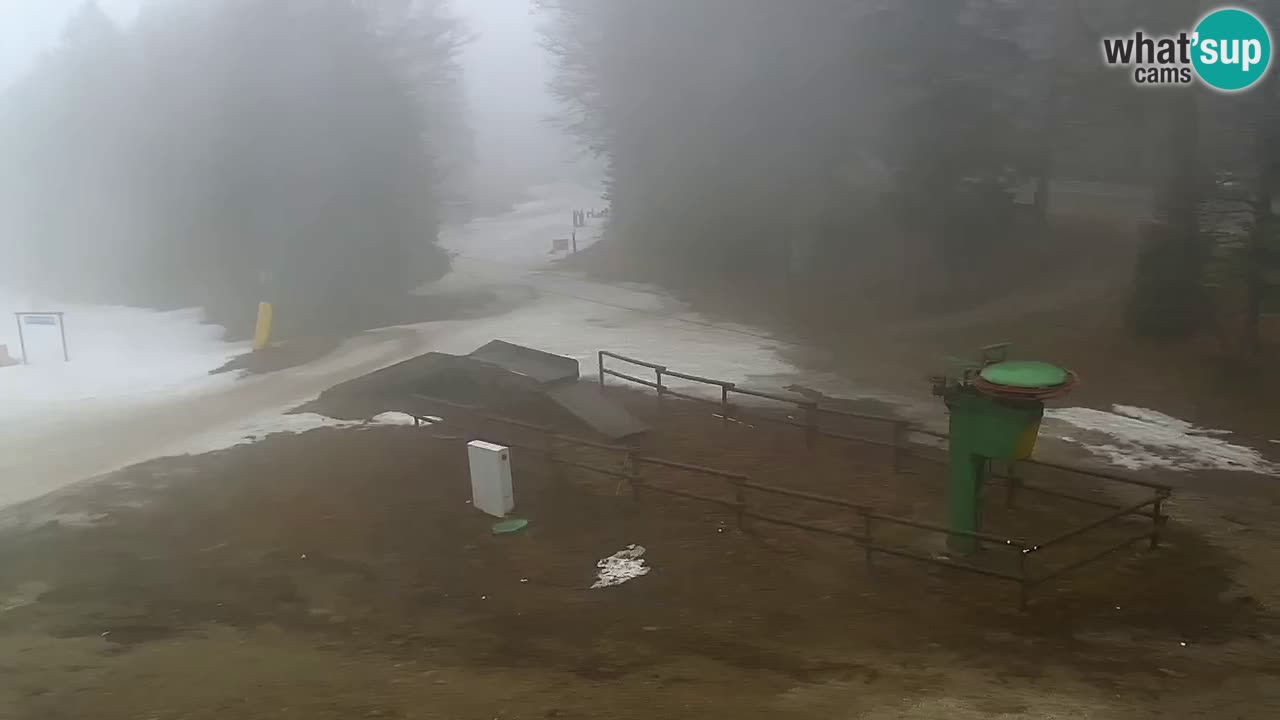 Smučišče Mariborsko Pohorje – spletna kamera Ruška zgoraj