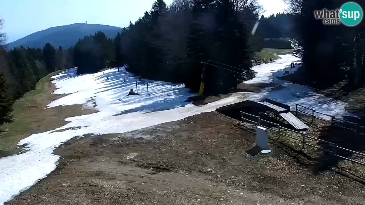 Estaciones de esquí Maribor Pohorje en vivo Ruška