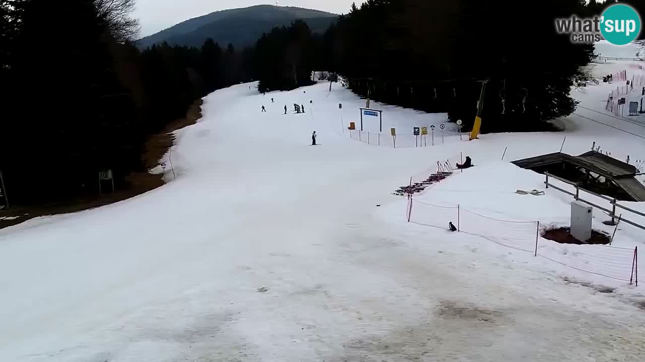 Smučišče Mariborsko Pohorje – spletna kamera Ruška zgoraj