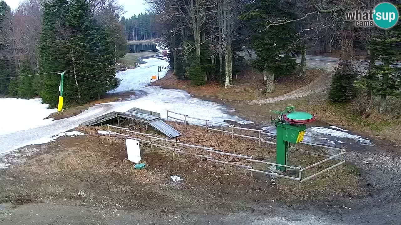 Smučišče Mariborsko Pohorje – spletna kamera Ruška zgoraj