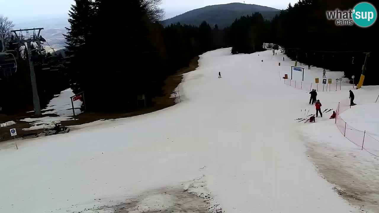 Estaciones de esquí Maribor Pohorje en vivo Ruška