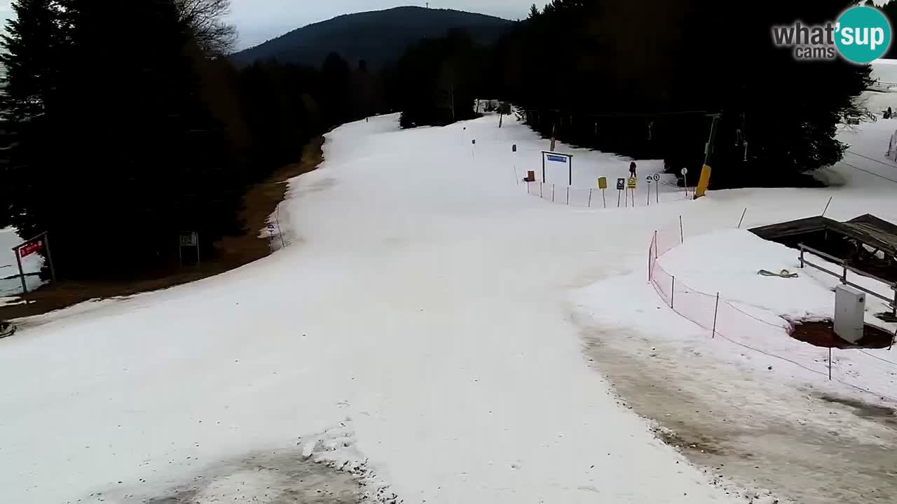 Smučišče Mariborsko Pohorje – spletna kamera Ruška zgoraj