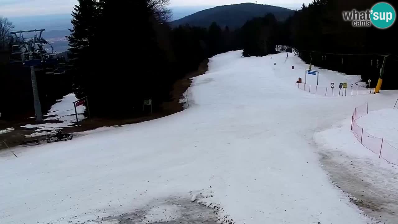 Smučišče Mariborsko Pohorje – spletna kamera Ruška zgoraj