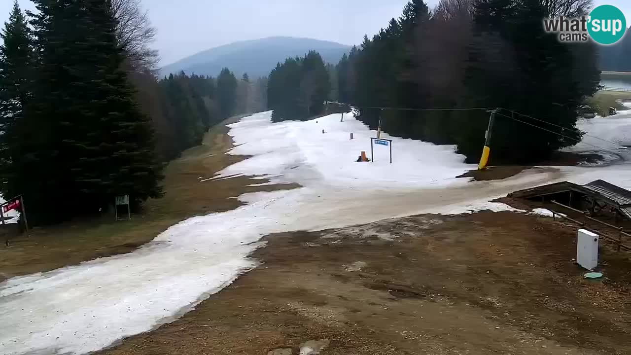 Stations de ski Maribor Pohorje web cam Ruška