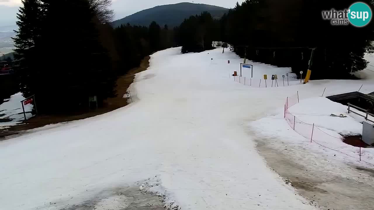 SKI Maribor Pohorje webcam Ruška