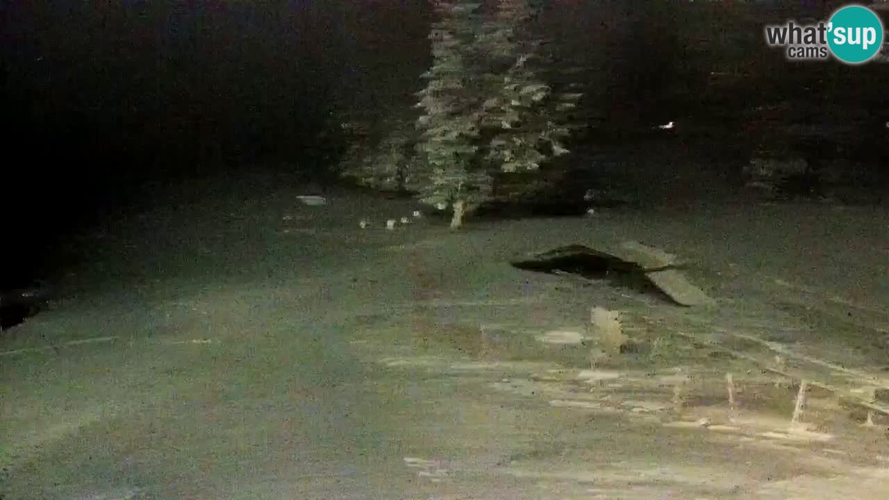 SKI Maribor Pohorje webcam Ruška