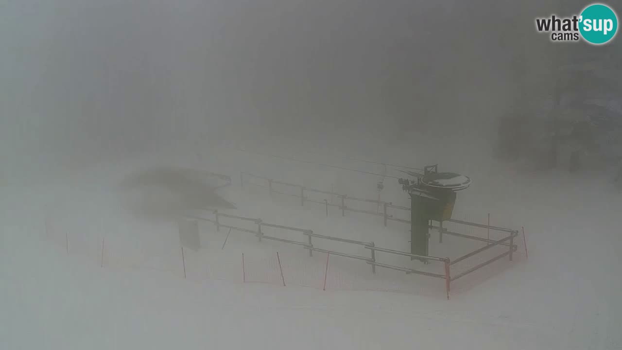 Stazione sciistica Maribor Pohorje – Ruška livecam