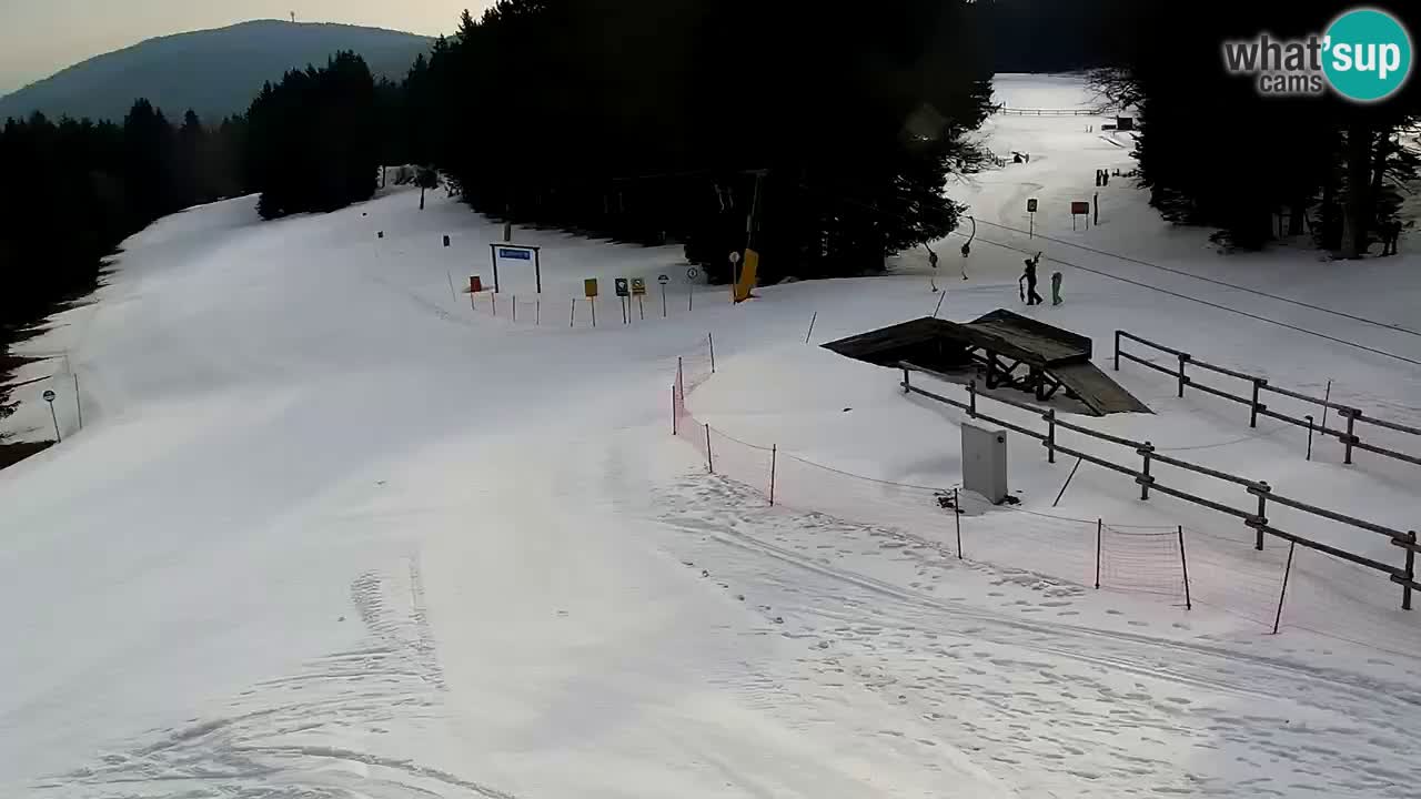 Estaciones de esquí Maribor Pohorje en vivo Ruška