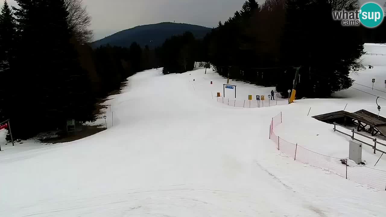 Smučišče Mariborsko Pohorje – spletna kamera Ruška zgoraj